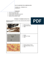 Láminas Clases Prácticas Histología