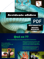 Accidente Ofidico