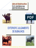 06 Ext Julgamento