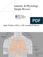 Thoracic Anatomy & Physiology A Simple Review: Mark Welliver CRNA, MS Assistant Professor