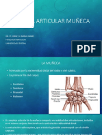 Fisiología Articular Muñeca