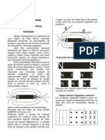 Física - II - Apostila IV - Magnetismo
