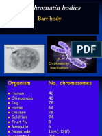 Sex Chromatin Bodies: Barr Body