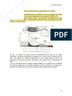 1.1.1.3 Autopurificacion