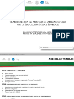 Transferencia MEEMS DGECyTM VF PDF