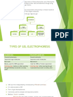 2 D Electrophoresis 1