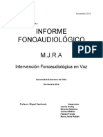 Informe Voz 2014 PDF