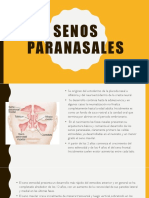 Senos Paranasales