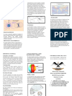 100% Triptico Magnetismo Terrestre