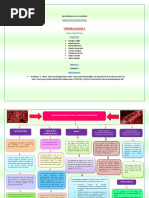 Abp Anticoagulantes PDF