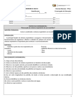 Protocolo Dissecação Pulmão