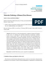 Molecular Pathology of Human Prion Diseases