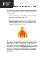 Cardiovascular System