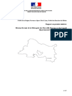 Le Projet Final Rapport Métropole 13-03-2019