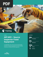 Training Flyer Sife VIS5