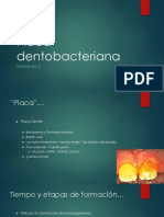 Diapositivas Biofilm Oral