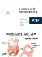 Fisiología de La Hormona Tiroidea (Modo de Compatibilidad) (Reparado)