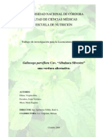 Albahaca Silvestre Una Verdura Alternativa