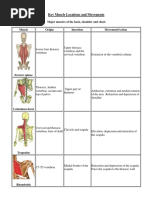 Key Muscle Locations and Movements