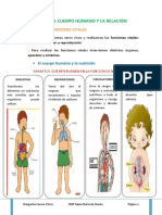 Tema 3 El Cuerpo Humano y La Relación PDF