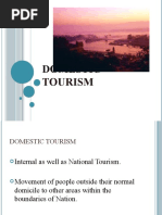 Domestic Tourism