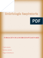 1 Fisiologia Pulmonar