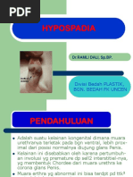 HYPOSPADIA Revisi