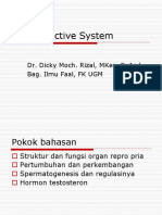 Reproductive System: Dr. Dicky Moch. Rizal, Mkes, Spand Bag. Ilmu Faal, FK Ugm