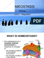 Homeostasis Feedback Mechanisms