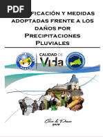 Informe - Pasco 2019 PDF