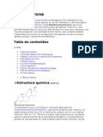 Sistema Endocrino 4