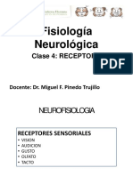 Neurofisiologia RECEPTORES PDF