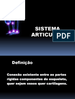 Sistema Articular Rose