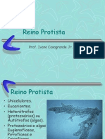 Biologia PPT - Reino Protista - Protozoários 1