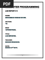 Computer Programming: Lab Report # 5