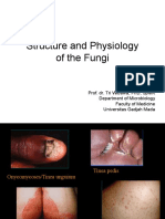 Lecture 33-Structure and Physiology of Fungi-Prof. Dr. Tri Wibawa, PHD, SP - MK (2018) PDF