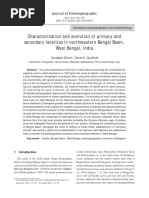 Characterization and Evolution of Primary and Secondary Laterites in Northwestern Bengal Basin, West Bengal, India PDF