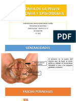 2 - Anatomia de La Pelvis 