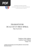 Proiect Uia