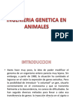 Ingenieria Genetica en Animales