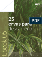 Ebook Gratuito RT Dia 05 PDF