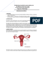 Embriologia Embarazo Ectopico