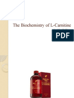 The Biochemistry of L-Carnitine