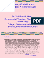 Veterinary Obstetrics and Gynecology A Pictorial Guide