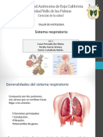 Sistema Respiratorio