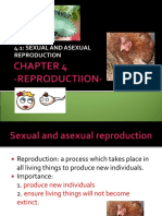 Form 1 Chapter 4.1