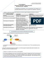 Taller Semana 05-Macromoleculas-Proteinas y Ac Nucleicos