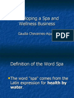 Developing A Spa and Wellness Business