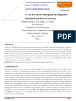 Cholorophyll Dye Pigment