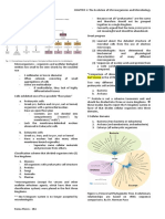 Chpater 1 Microbiology 